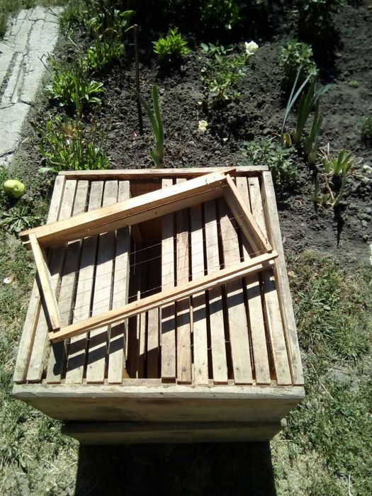 Вулики Українка та рамки до них