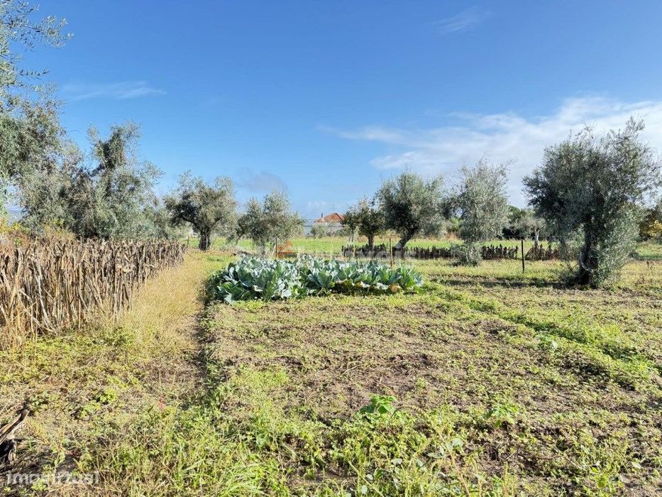 Terreno Rustico- Monte Galego