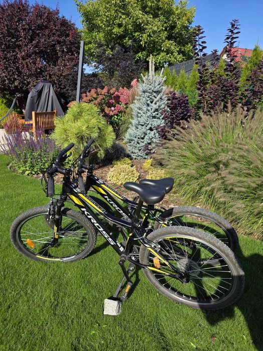 Rower MTB Kross