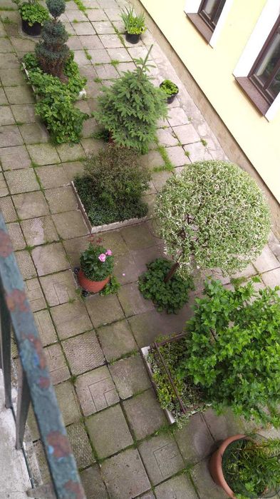 Оренда подобово Вул.Наливайка центр Львова