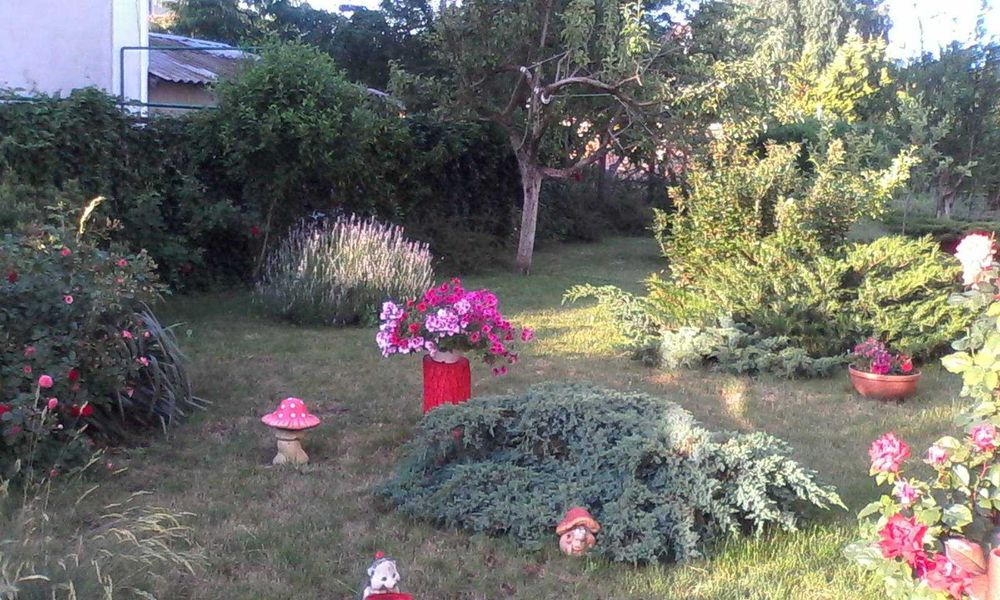 Продам дом в Царском селе