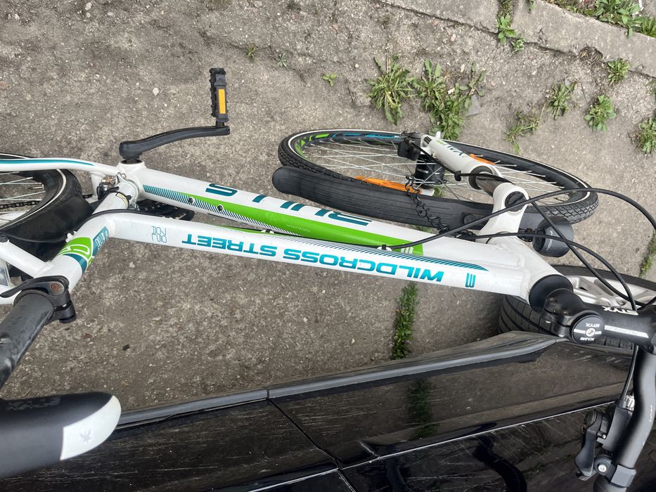 Rower Bulls Wildcross Street