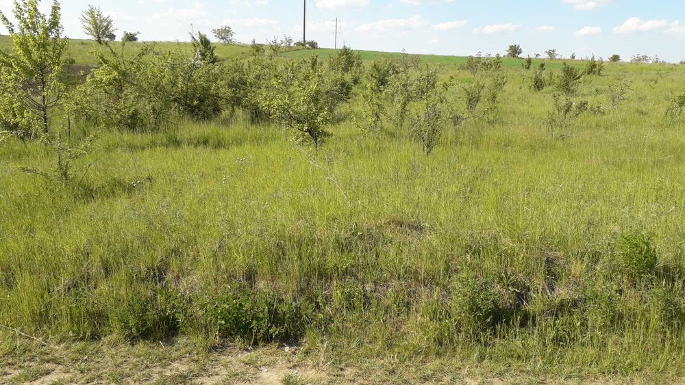 Продаю земельну ділянку с.Великі Бірки