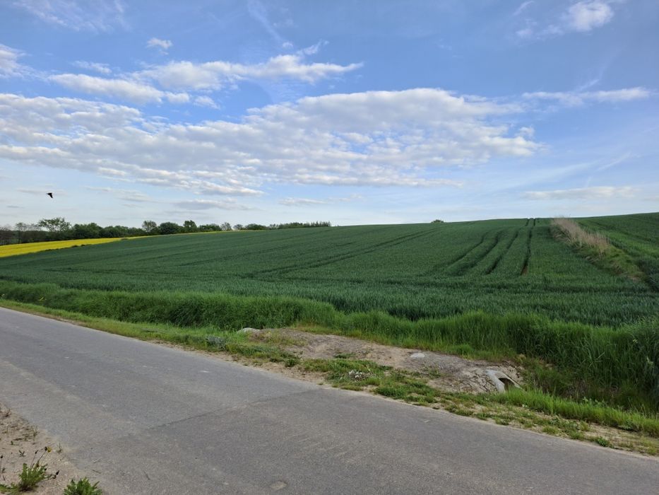Sprzedam Pole , Działka Rolna