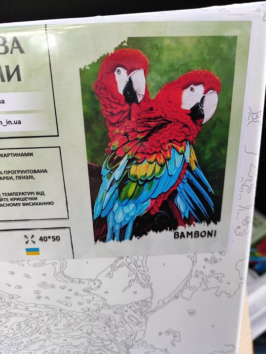 Obrazek do malowania po numerach