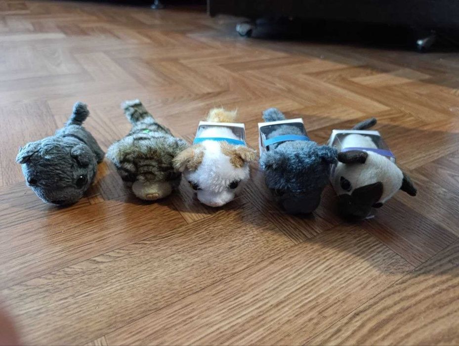 The cat collection  и Dog Collection Собачки и Котики из коллекции
