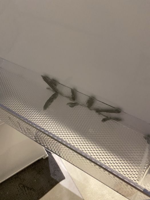 Combinado de encastre Teka