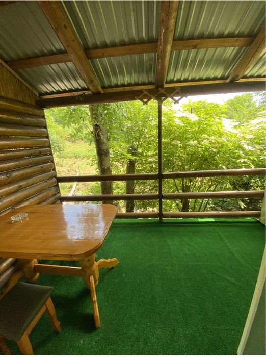 Відпочинок у Карпатах