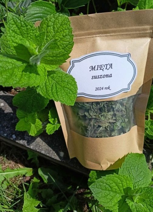 Suszona ekologiczna mięta 40g