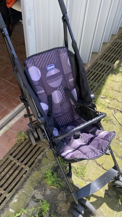 Carinho chicoo criança