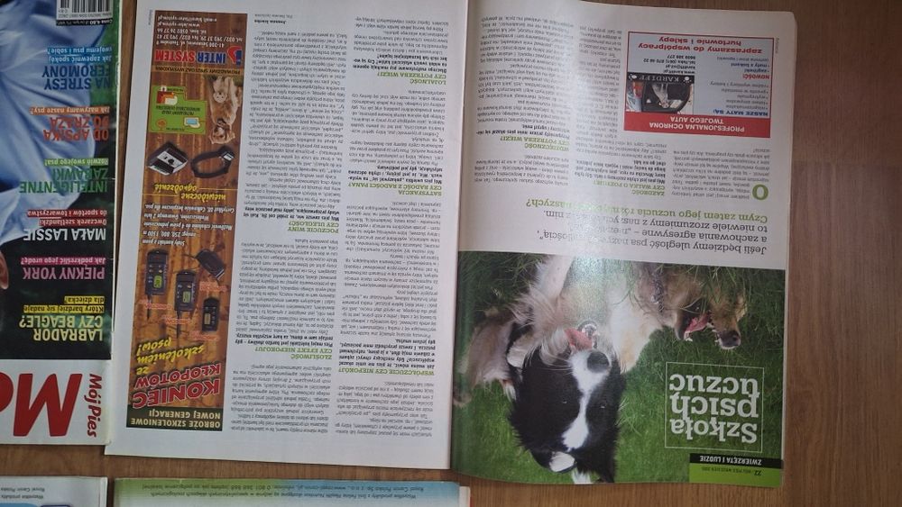 Zestaw gazetka czasopisma mój pies 2006