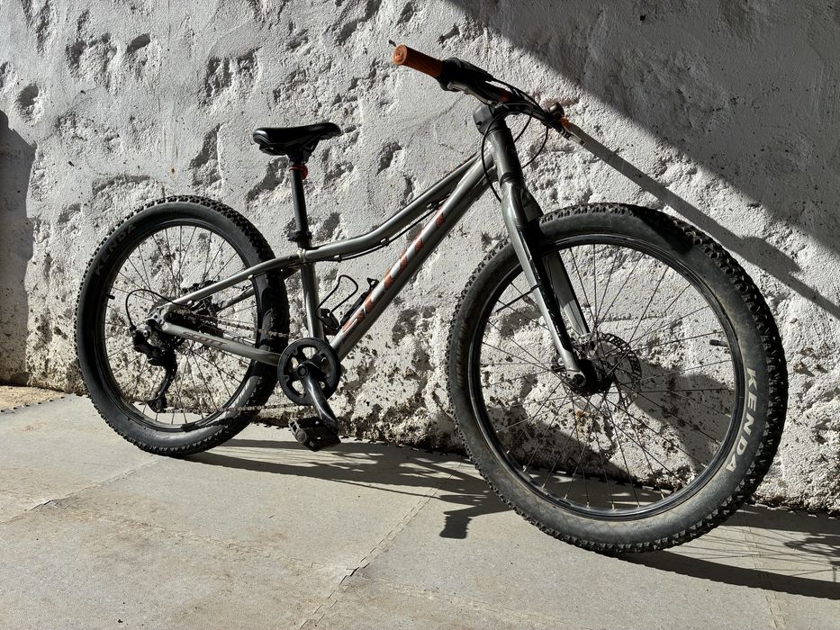 Scott roxter 24 tylko 11 kg