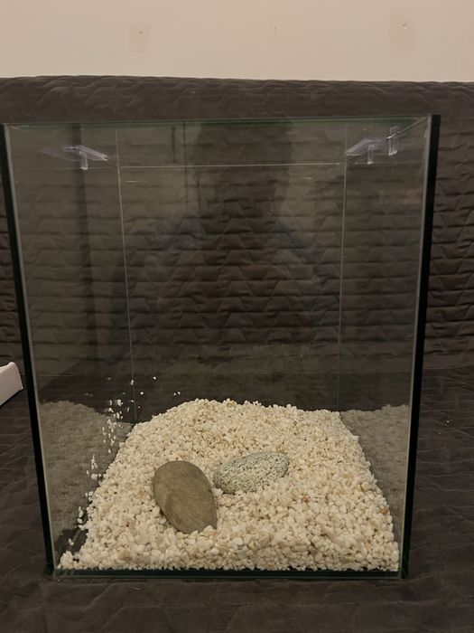 Aquário em vidro – design cúbico | 25 × 25 × 30 cm