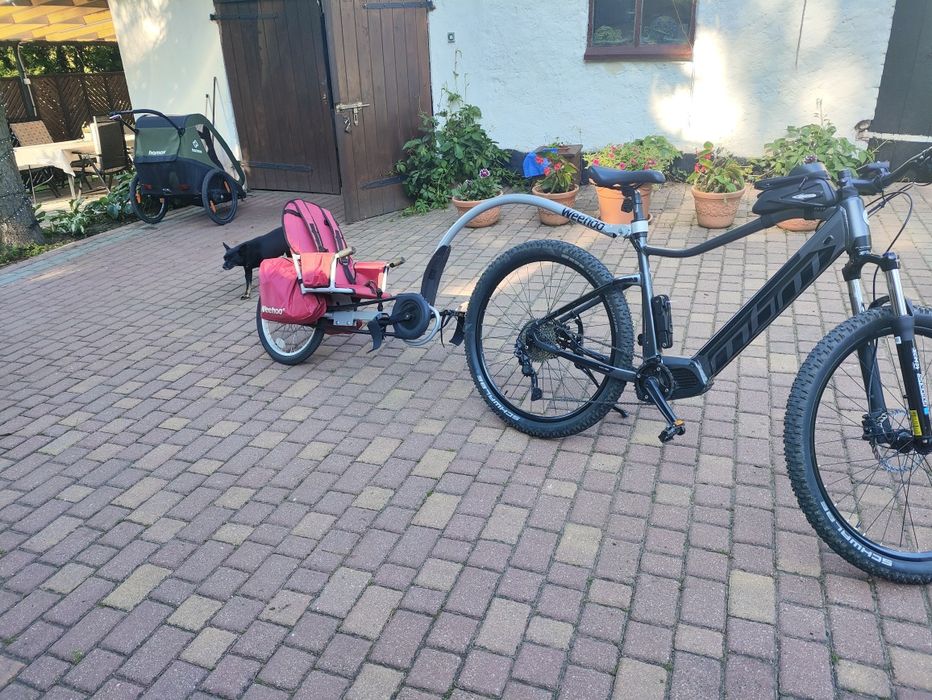 Weehoo przyczepka rowerowa