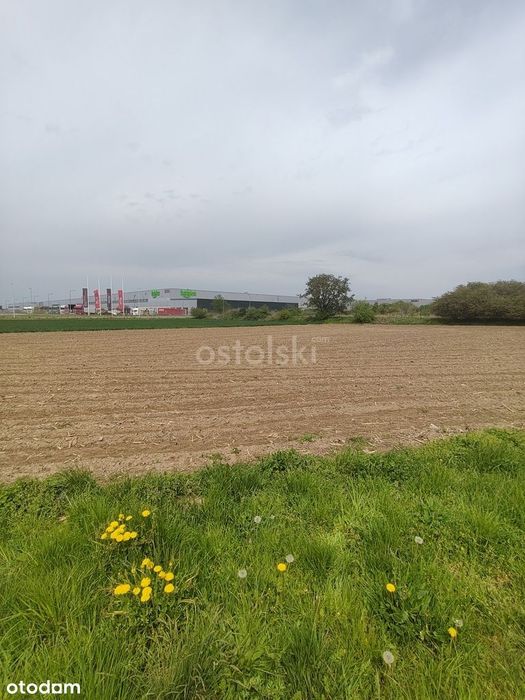 W strefie przemysłowej przy autostradzie