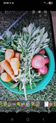 Ogrodek dzialkowy Kepno