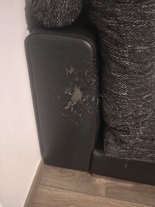 Conjunto de Sala - Sofá + mesa centro + móvel Tv