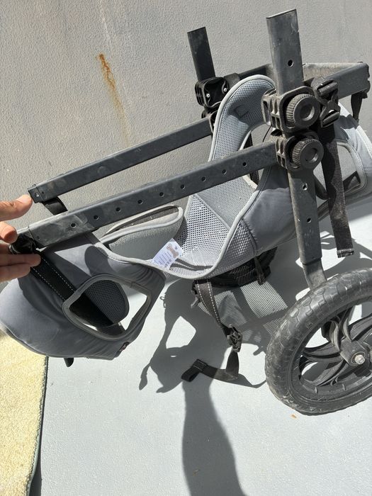 Carro rodas para caes