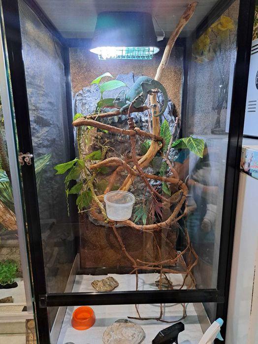 Terrarium siatkowe 50x50x100 dla kameleona
