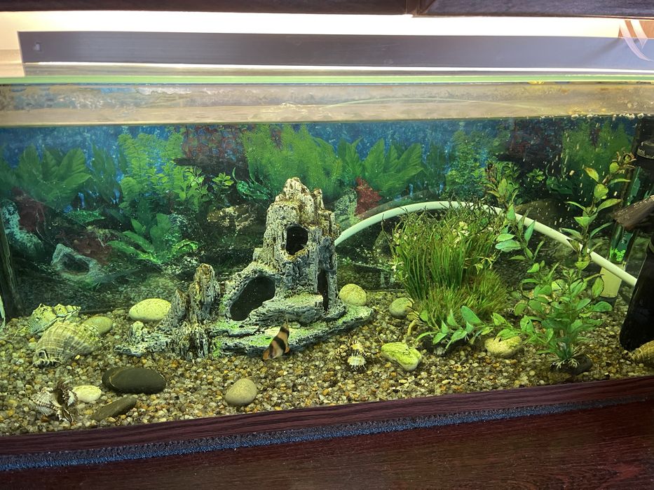 Продам акваріум