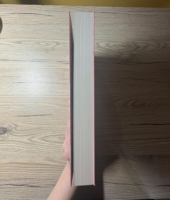 Książka 11 papierowych serc