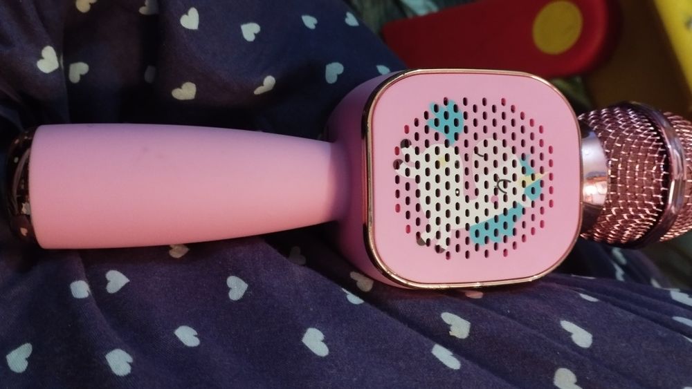 Microfone e gravador