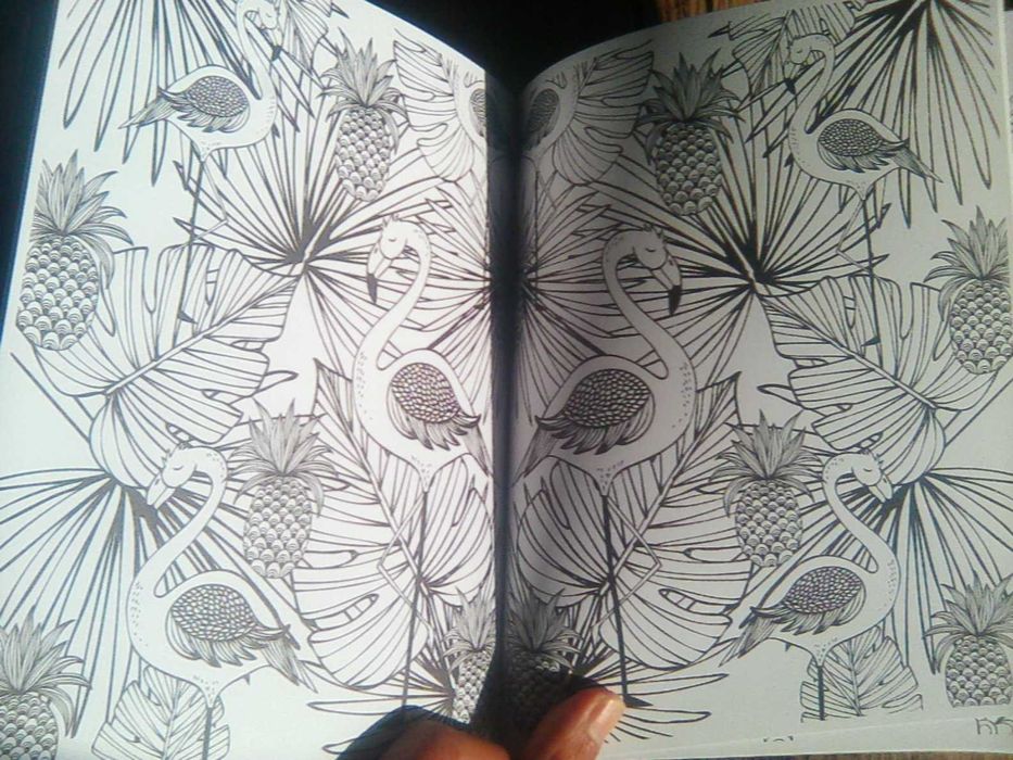 Livros Mindfulness Arteterapia : " Mandalas e Desenhos Natureza "
