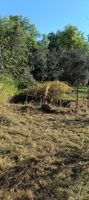 Terreno com 2,500m2 aldeia de santa Margarida castelo branco