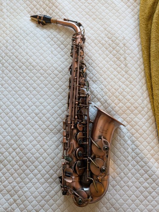 Saxofone Alto completo