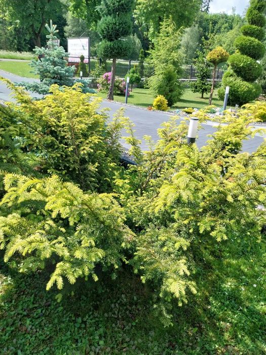 Willa Marzenie - noclegi w górach, zniżki na baseny termalne