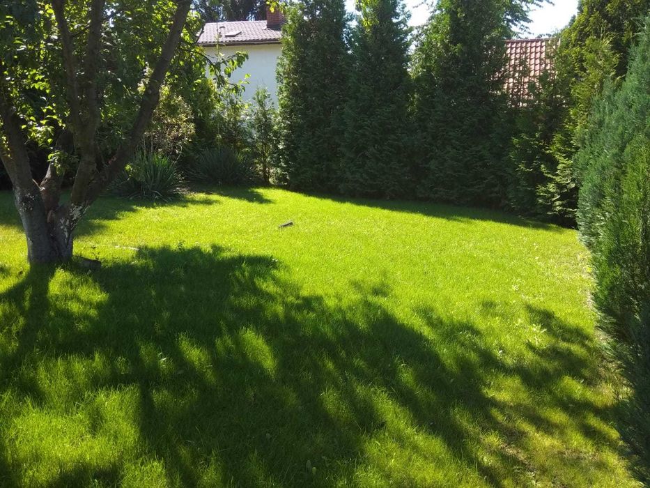 Działka całoroczna ROD Jelonek / Suchy Las