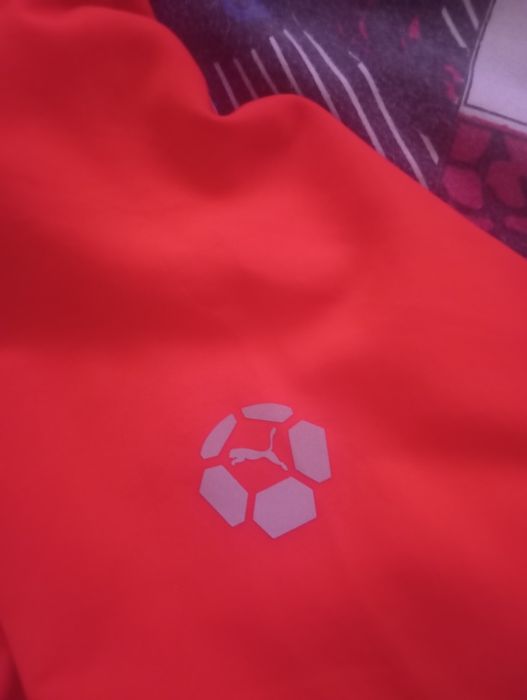 Спортивная кофта Puma