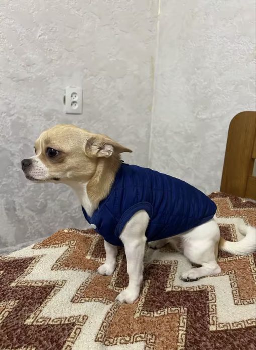 Жилетка на хутрі для собачок