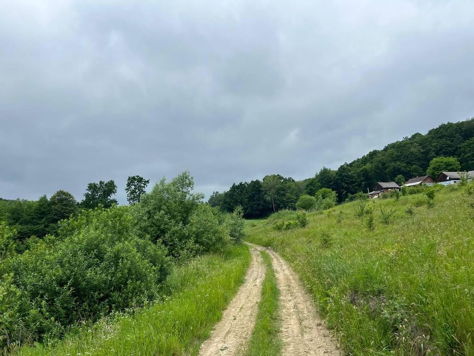 Продаж Гектару землі за вигідною ціною!