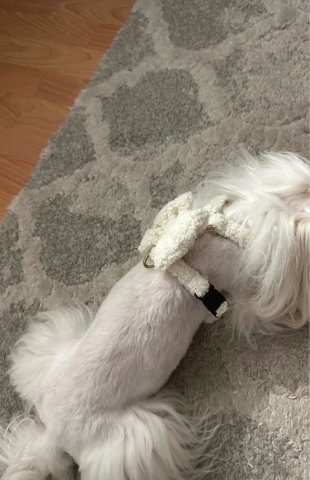 Szelki guard teddy Puppymour