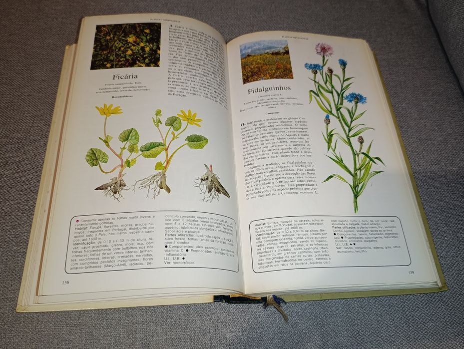 Livro Segredos e Virtudes das Plantas Medicinais