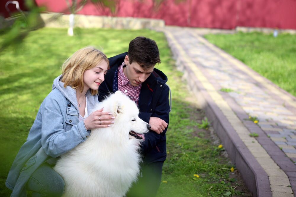 Самоед Вязка с самоедом