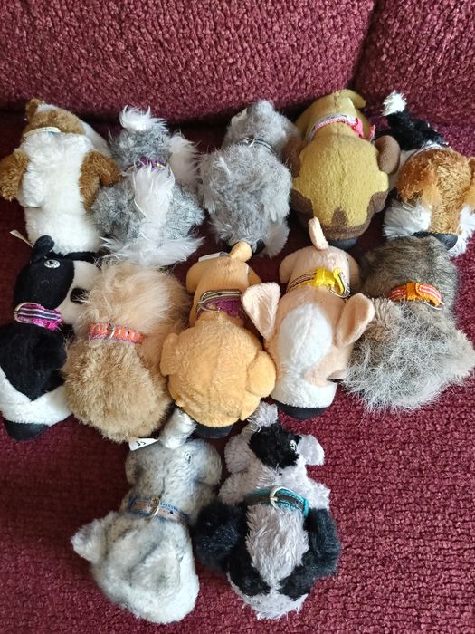 The Dog Collection