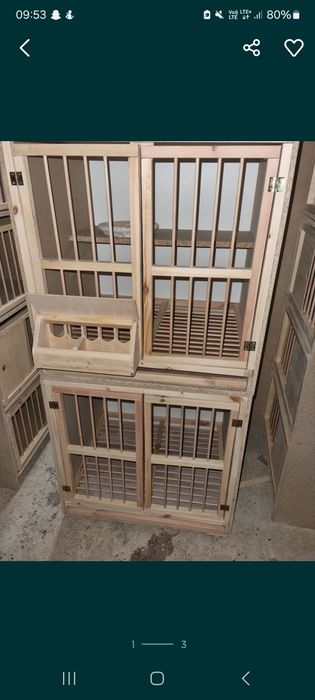 Cela rozpłodowa do gołębi