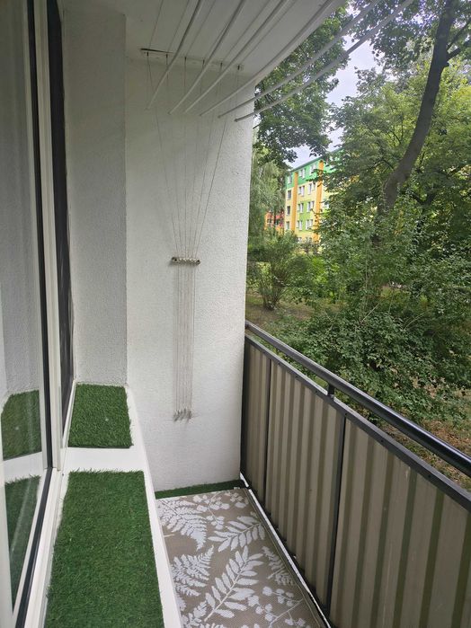 Zdjęcie 7