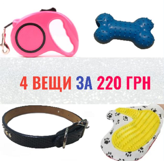 Ошейник и поводок