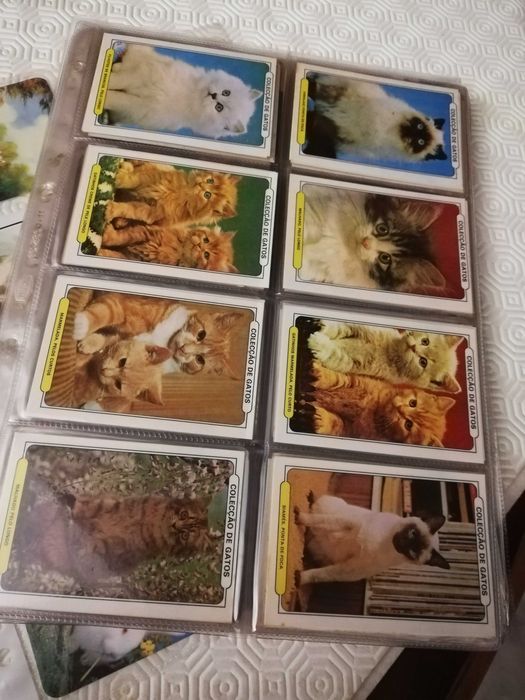 Coleção de calendários de animais