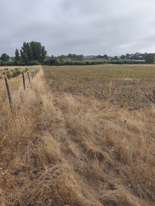 Vendo terreno de 2,5 hectares com regadio