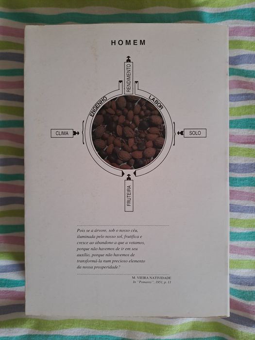 Livro "Fruticultura Tecnologias Competitivas" de Ildefonso Saraiva