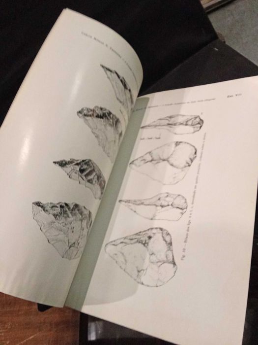 A Estação Paleolítica da Baía Farta (Angola) - Carlos M. N. Ervedosa