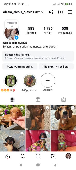 Шоколадно підпалі дівчатка і хлопчики