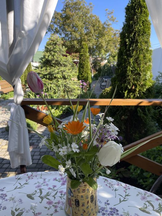 Сдам(аренда)дом у моря Одесса/Фонтанка пляж Яхта первая линияПосуточно