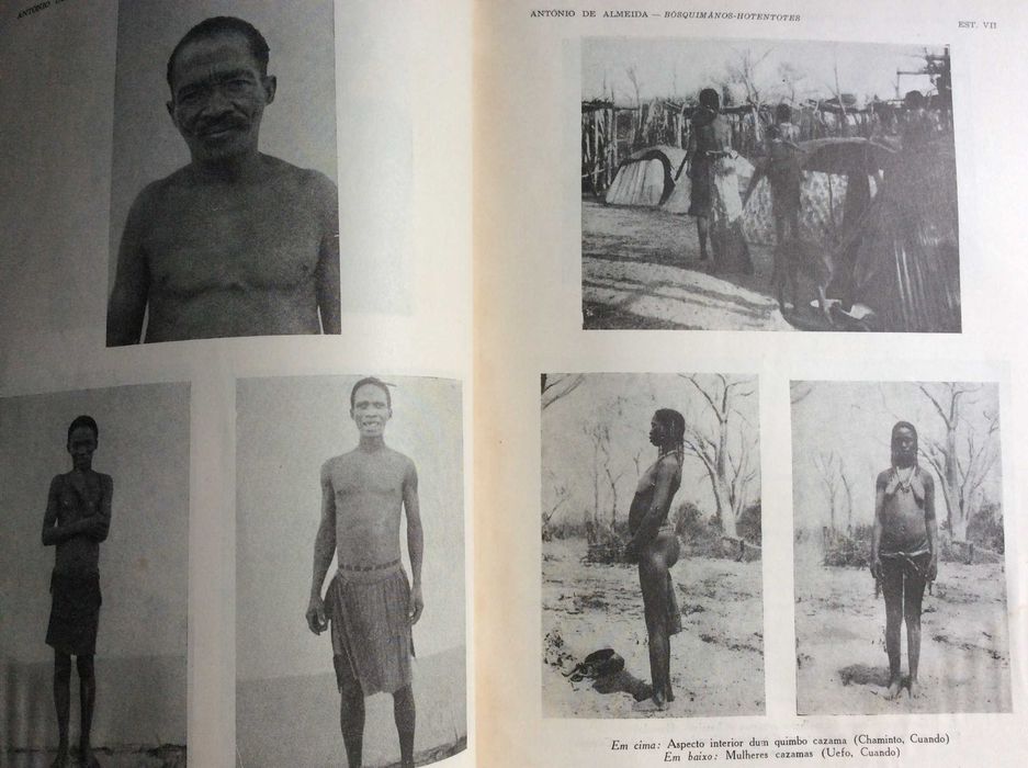 Boletim da Sociedade de Geografia de Lisboa. - 1954. Ver sumário