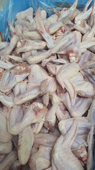 Крыло куринное. 60 грн/кг