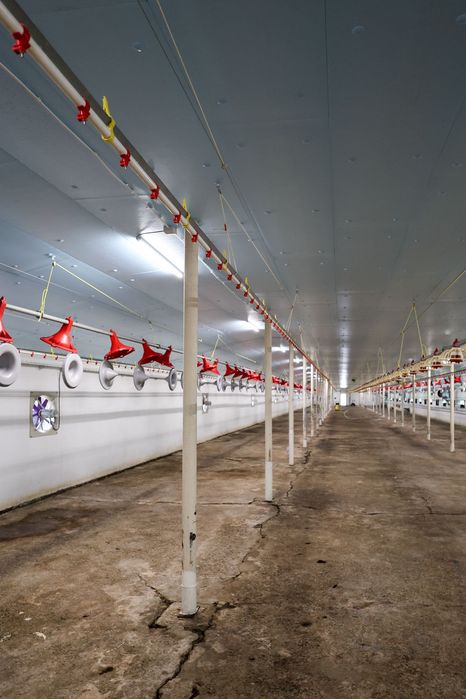 Ocieplenie Dachu Kurnika Obory Chlewni Podbitka Styrodur XPS AGRO